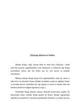 Referāts 'Līzings uzņēmējdarbībā', 13.