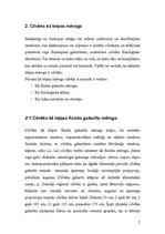 Konspekts 'Arhitektūras pamati', 7.