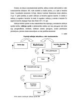 Referāts 'Inflācija Latvijā 2004.-2008.gadā, tās izraisītās negatīvās sekas no patērētāju ', 11.
