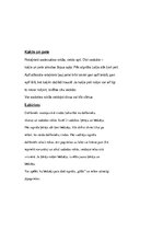 Konspekts 'Rotaļas pirmsskolā', 6.