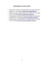 Referāts 'Latvijas sieviešu zīdīšanas pieredze', 12.