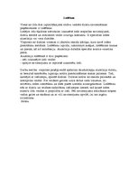 Referāts 'Vadu un kabeļu lodēšana un metināšana', 3.