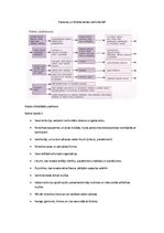 Konspekts 'Ģeogrāfija', 1.