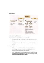 Konspekts 'Ģeogrāfija', 6.