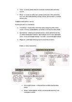 Konspekts 'Ģeogrāfija', 7.