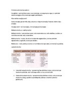 Konspekts 'Ģeogrāfija', 10.