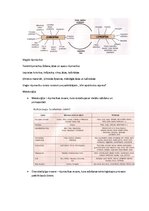 Konspekts 'Ģeogrāfija', 11.