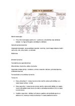 Konspekts 'Ģeogrāfija', 12.