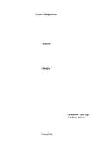 Referāts 'Rodijs', 1.