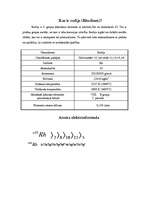 Referāts 'Rodijs', 2.