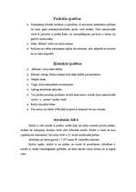 Referāts 'Rodijs', 3.