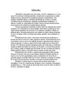 Eseja 'Mīlestība', 1.