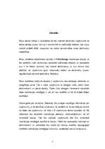 Referāts 'Darbinieku motivācijas pētījums uzņēmumā', 3.