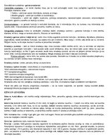 Konspekts 'Psiholoģijas un pedagoģijas pamati', 6.