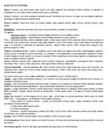 Konspekts 'Psiholoģijas un pedagoģijas pamati', 7.