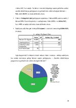 Referāts 'No psihoaktīvām vielām atkarīgu bērnu piesaistīšanās sociālās rehabilitācijas pr', 36.