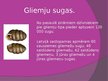 Prezentācija 'Gliemji', 10.