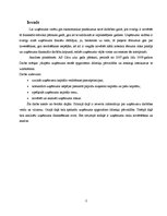 Prakses atskaite 'A/s "Cēsu alus" finanšu analīze', 2.