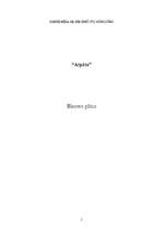 Biznesa plāns 'Biznesa plāns viesu namam ''Atpūta''', 1.