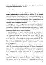 Diplomdarbs 'Zemo izmaksu lidsabiedrību loma avio biznesā', 29.