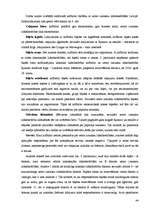 Diplomdarbs 'Zemo izmaksu lidsabiedrību loma avio biznesā', 44.