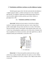 Referāts 'Vestibulārās stabilitātes pilnveidošana mākslas vingrošanā', 13.