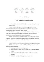 Referāts 'Vestibulārās stabilitātes pilnveidošana mākslas vingrošanā', 16.