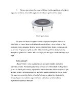 Referāts 'Vestibulārās stabilitātes pilnveidošana mākslas vingrošanā', 20.