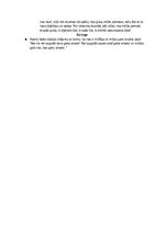 Konspekts 'Rainis "Tālas noskaņas zilā vakarā"', 3.