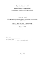 Referāts 'Robežkontroles punkta inspektora darba ergonomisks raksturojums', 1.