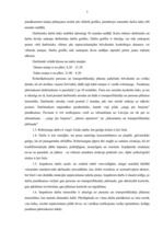 Referāts 'Robežkontroles punkta inspektora darba ergonomisks raksturojums', 3.