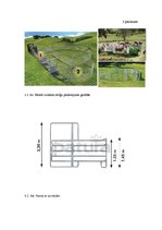 Konspekts 'Gaļas liellopu ferma. Apraksts', 13.