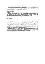 Referāts 'Itālija', 9.