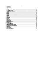 Referāts 'Itālija', 11.