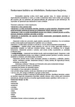 Referāts 'Saskarsmes kultūra un efektivitāte. Saskarsmes barjeras', 1.