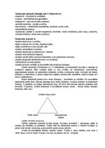 Referāts 'Saskarsmes kultūra un efektivitāte. Saskarsmes barjeras', 2.