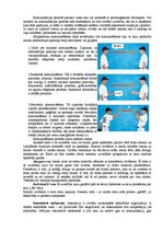 Referāts 'Saskarsmes kultūra un efektivitāte. Saskarsmes barjeras', 4.