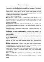 Referāts 'Saskarsmes kultūra un efektivitāte. Saskarsmes barjeras', 6.