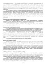 Konspekts 'Gēnu ekspresija un regulācija', 5.