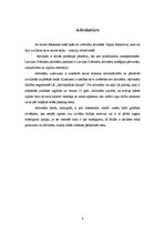 Prakses atskaite 'Iepazīšanās prakse', 9.