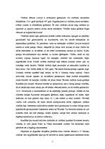 Referāts 'Vitrāža', 5.