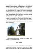 Referāts 'Vitrāža', 9.