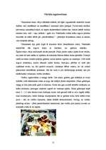 Referāts 'Vitrāža', 12.