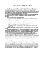 Referāts 'Kā balsta kustību ietekmē riska faktori', 11.