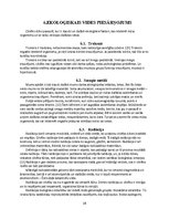 Referāts 'Kā balsta kustību ietekmē riska faktori', 18.