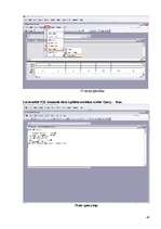 Referāts 'Datu konceptuālā modeļa veidošana', 40.