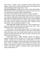 Konspekts 'Interakcija. Pozīcijas saskarsmē', 3.