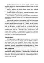 Konspekts 'Vērtspapīru tirgus veidi. Vērtspapīru veidi', 2.