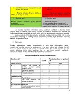 Konspekts 'Diskusija studiju kursā "Projektu vadība loģistikā"', 5.