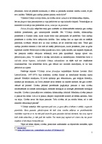 Referāts 'Relatīvais un absolūtais vēstures traktējumā', 5.